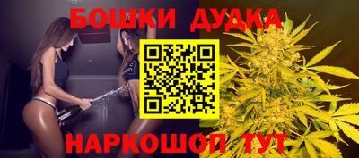 индика Кандалакша