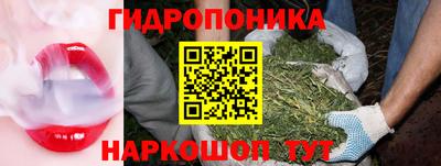 индика Кандалакша