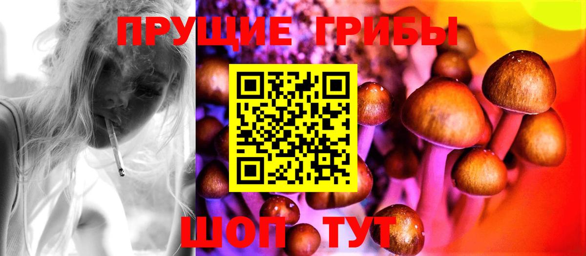 Псилоцибиновые грибы MAGIC MUSHROOMS Лениногорск